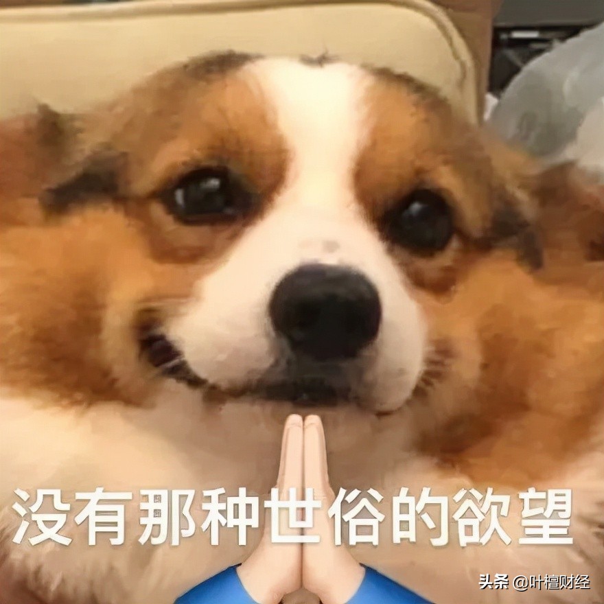 暴漲40倍！還買什么房子股票 都不如炒它香？