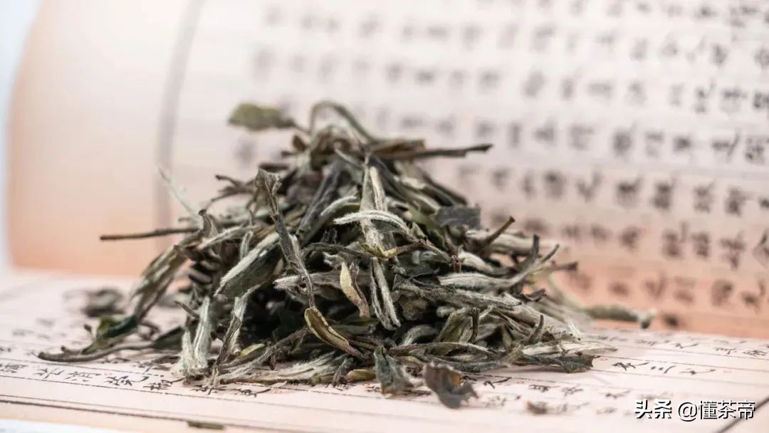 六大茶類(lèi)代表名茶有哪些？喝過(guò)三款以上才稱得上大神