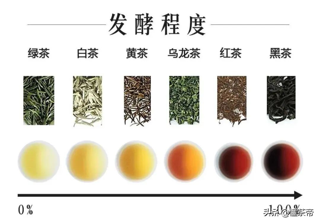 中國名茶有哪些？中國有哪些有名的茶品種？