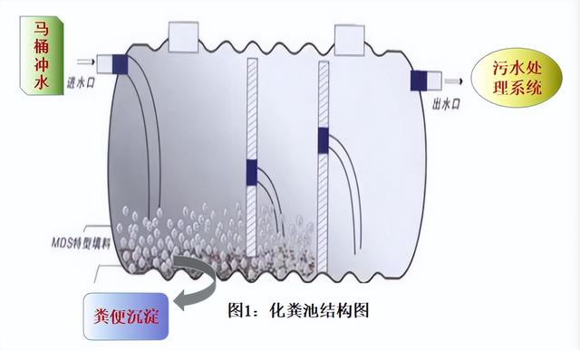 胰酪大豆胨怎么讀，胨怎么讀音？