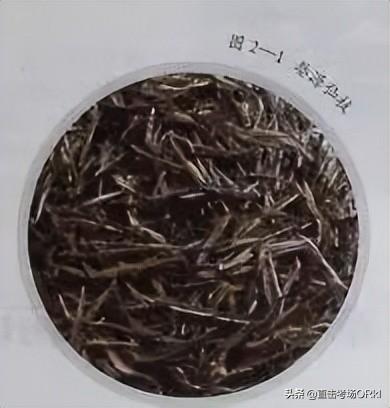 海浮石產(chǎn)自哪里，浮石是哪里？