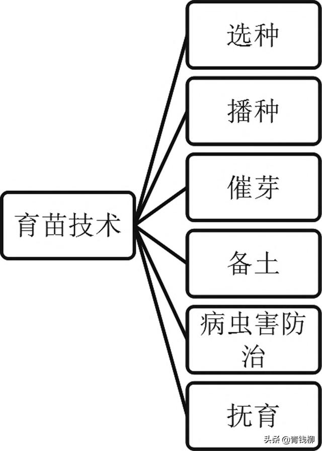 對(duì)硝基氯甲苯結(jié)構(gòu)，對(duì)氯間硝基苯甲酸結(jié)構(gòu)式？