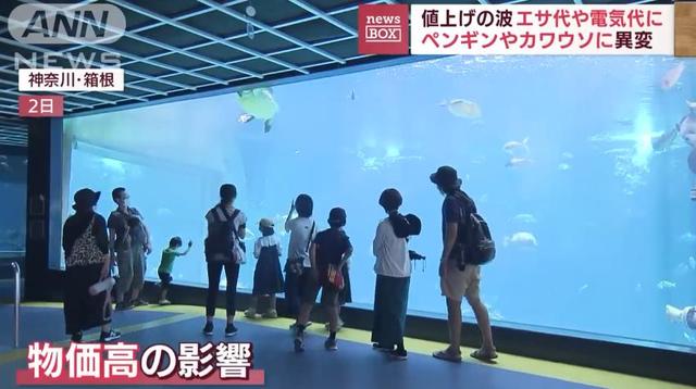 日生高級(jí)水族箱，日升水族箱廠家官網(wǎng)？