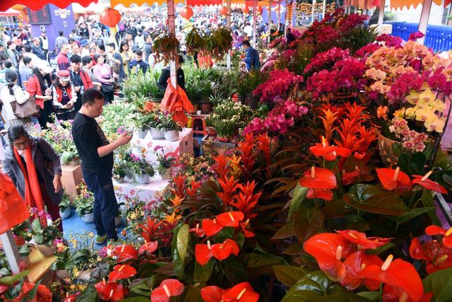 成都批發(fā)鮮花市場進(jìn)貨渠道在哪里（成都批發(fā)鮮花去哪里進(jìn)貨）