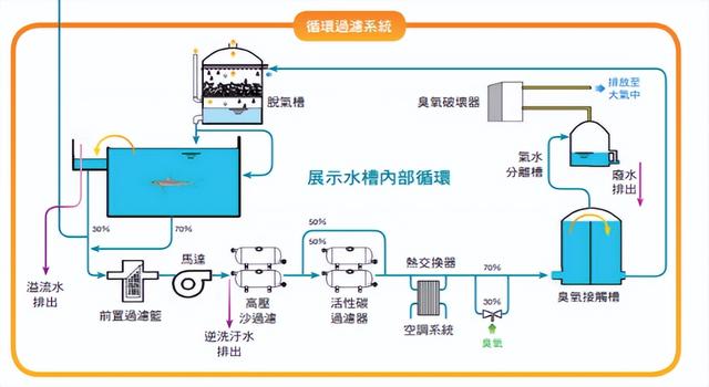 汕頭觀賞魚批發(fā)市場在哪里（汕頭批發(fā)觀賞魚市場）