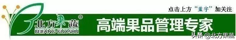 果樹苗批發(fā)基地三年苗各種苗大全價格，哪里有果樹苗批發(fā)基地？