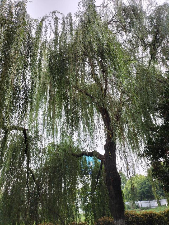 地?cái)偨?jīng)濟(jì)是一種什么經(jīng)濟(jì)，地?cái)偨?jīng)濟(jì)有何意義