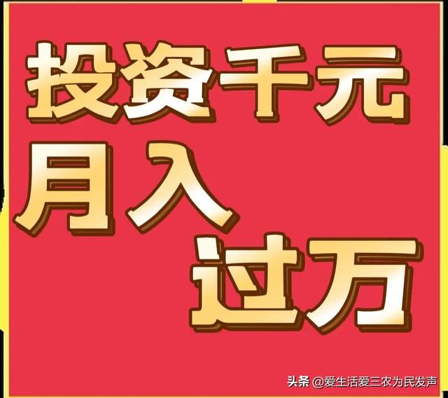 跑江湖地?cái)傂庐a(chǎn)品，跑江湖地?cái)傂庐a(chǎn)品怎么做