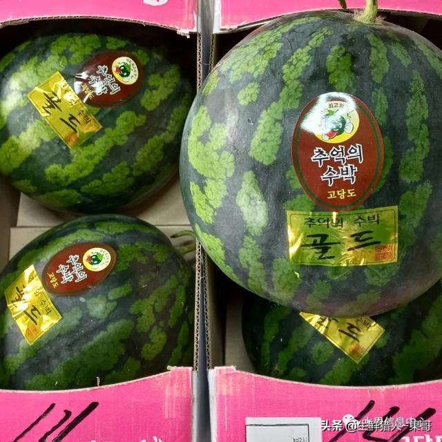 想賣水果怎么找貨源高州地區(qū)，想賣水果怎么找貨源高州地區(qū)的？