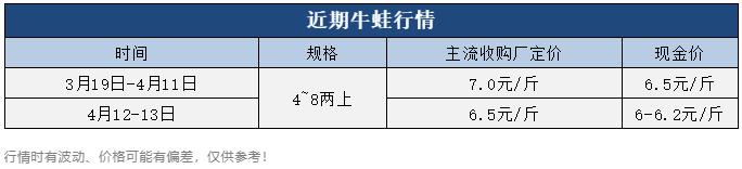 牛蛙價格現(xiàn)在多少錢一公斤，鮮活牛蛙批發(fā)價多少錢一斤？