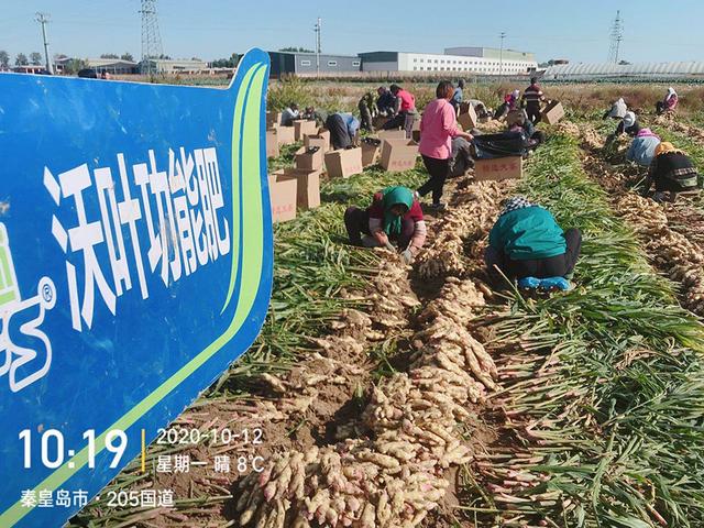 南寧肥料批發(fā)市場，南寧肥料廠家？