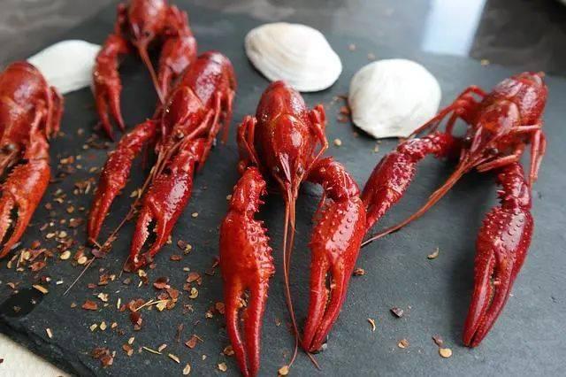 成都龍蝦批發(fā)市場(chǎng)價(jià)格是多少，成都龍蝦批發(fā)價(jià)格最便宜的是哪里？