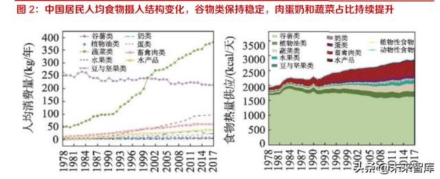 長沙凍貨批發(fā)市場進貨渠道，長沙凍貨批發(fā)市場進貨渠道有哪些？