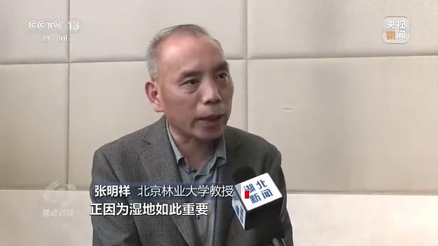 日本批發(fā)網站平臺，日本批發(fā)網站平臺有哪些？