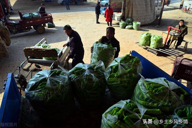 市場賣青菜一天賺多少錢合適，菜市場賣青菜一年能賺多少錢？