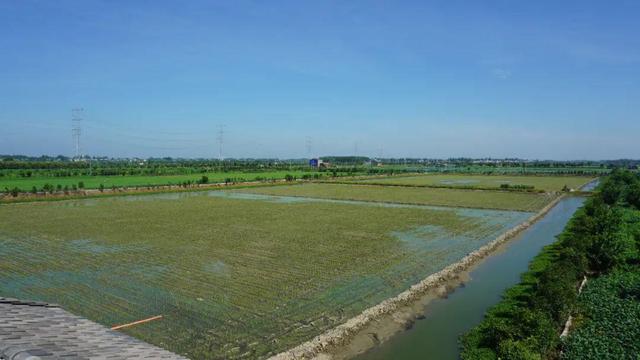 湖北潛江龍蝦批發(fā)市場電話，湖北潛江龍蝦批發(fā)市場電話號碼？