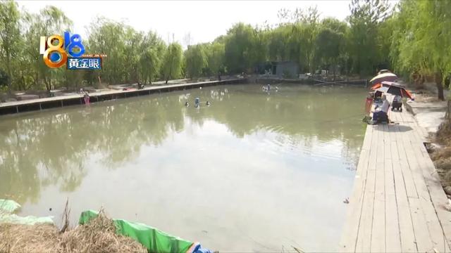 淘寶海帶路亞是正品嗎，淘寶上的貨源？