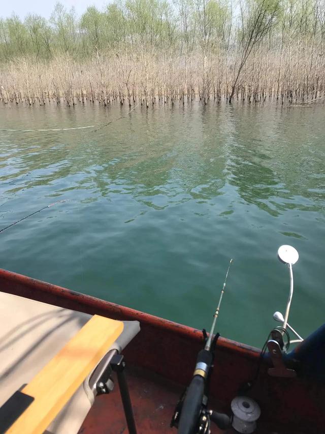 筏釣江湖（四）