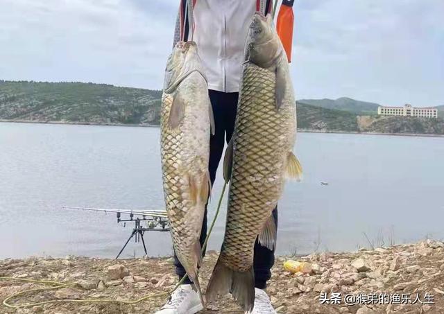 德州釣組釣法，德州釣組控餌手法？
