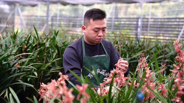 淘寶拼多多熱銷朝蘭貨源拿貨是真的嗎，淘寶拼多多熱銷朝蘭貨源拿貨是真的嗎安全嗎？