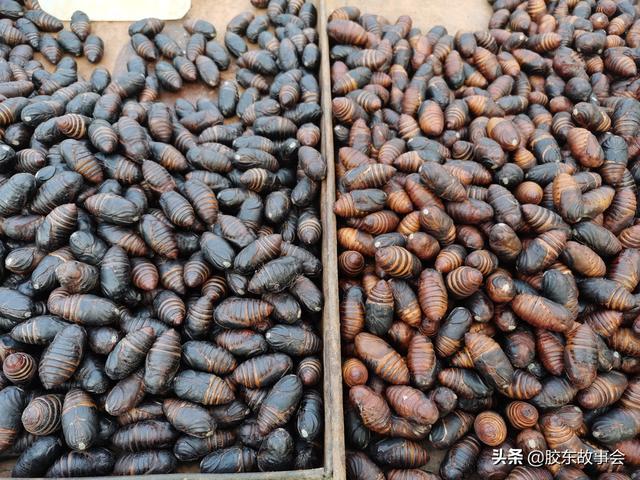 膠東見(jiàn)聞過(guò)年吃的“蛹”，你家已經(jīng)準(zhǔn)備好了么？