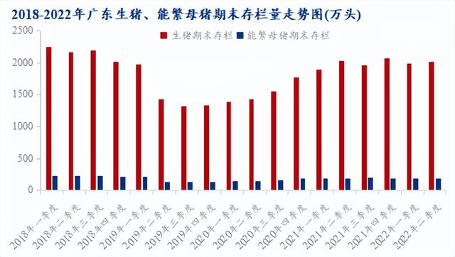 被玩壞的生豬行業(yè)_摸不透的廣東市場？